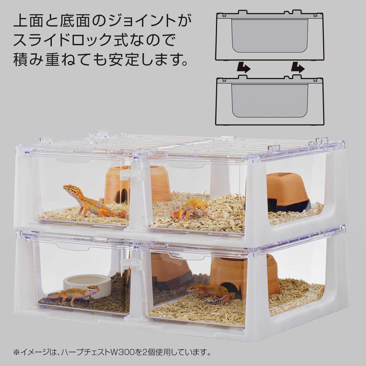 爬虫類ケージ　スドー ハープチェスト４００　4個セット 爬虫類ケージ スドー ハープチェスト400 | チャーム